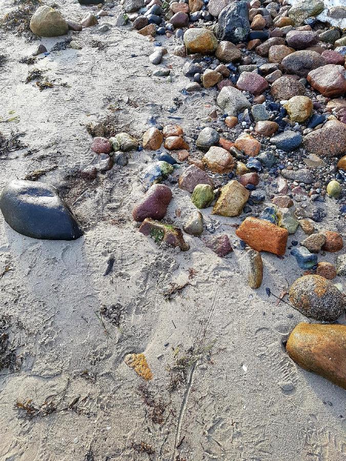 Strandappartement Steinberghaff "Farborg" Mit Meerblick Steinberg  Екстериор снимка