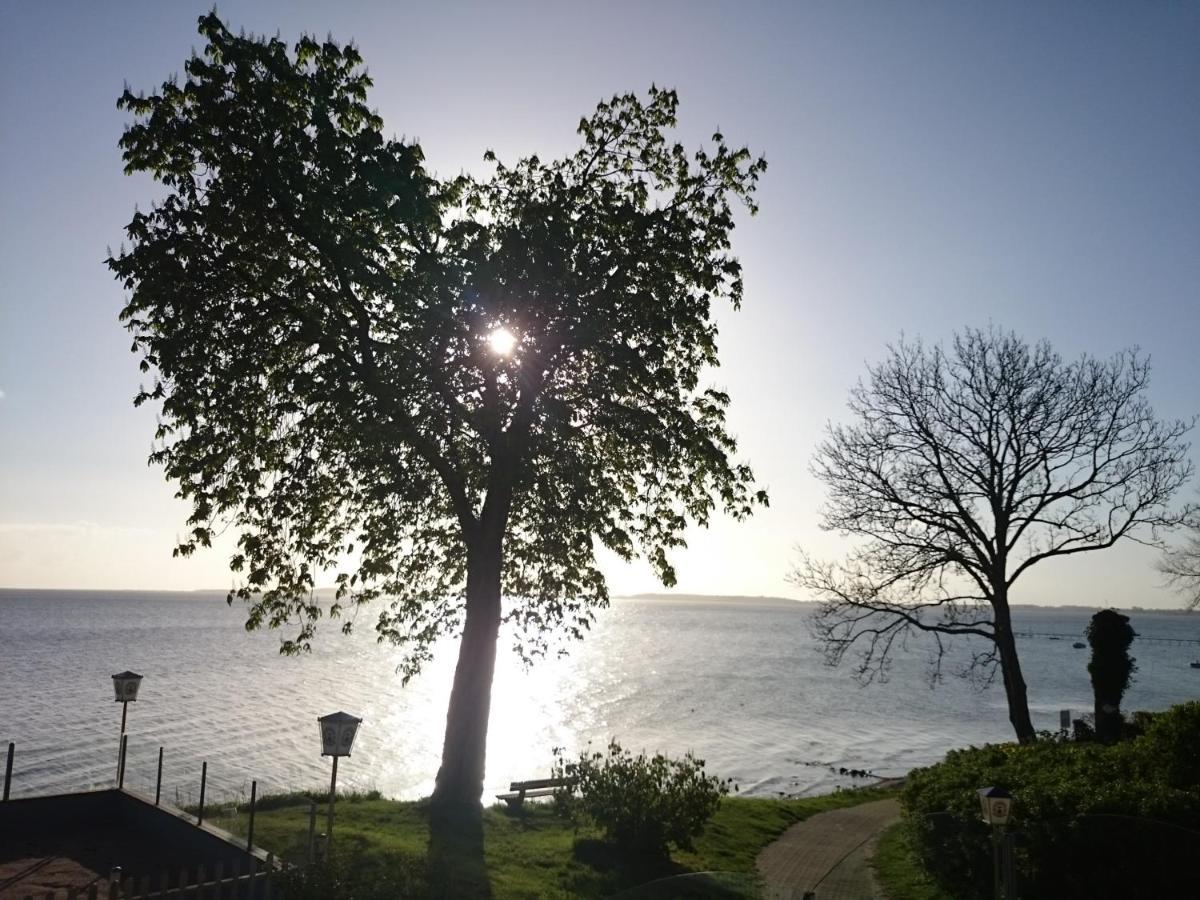 Strandappartement Steinberghaff "Farborg" Mit Meerblick Steinberg  Екстериор снимка